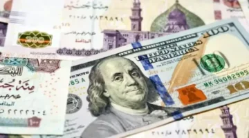قفزة مفاجئة.. توقعات سعر الدولار مقابل الجنيه مطلع عام 2025 تثير ارتباك الأسواق